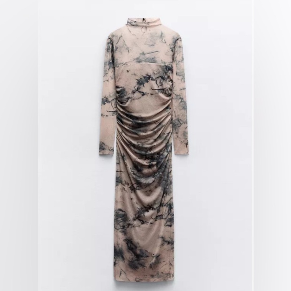 Zara Printed Tulle Turtleneck Long Sleeve Dress